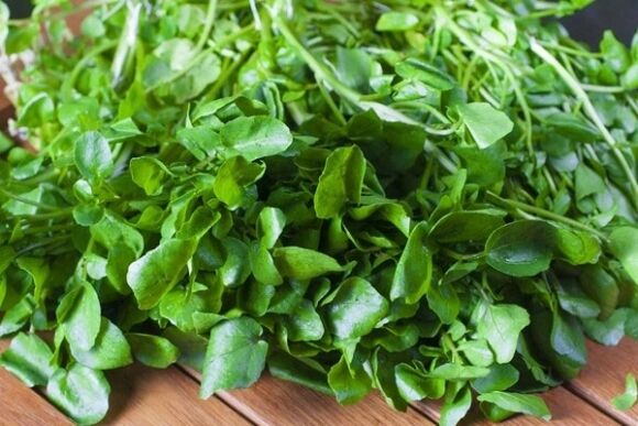 Loại rau rẻ bèo bán đầy chợ Việt được CDC Mỹ "chấm điểm 10", ai cũng nên biết