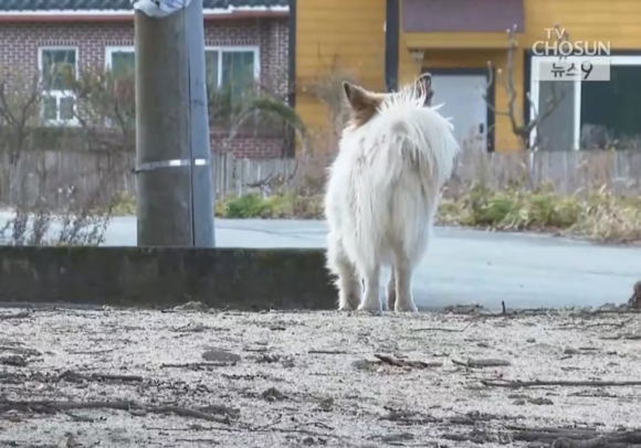 3 Tham Kich Jeju Air Ca Nha 9 Nguoi Tu Nan Nu Sinh Chua Kip Chup Hinh Tot Nghiep Cap 2