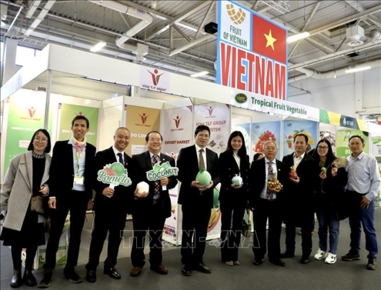 1 Viet Nam Tham Gia Fruit Logistica 2025 Tai Duc Voi Quy Mo Lon Nhat Tu Truoc Den Nay