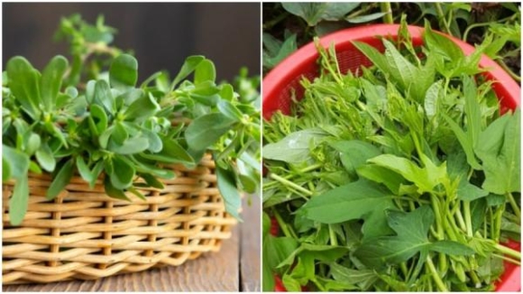 3 loại rau không lo nuôi hó‌a chấ‌t: Đi chợ càng nhìn thấy đừng tiếc tiền mua