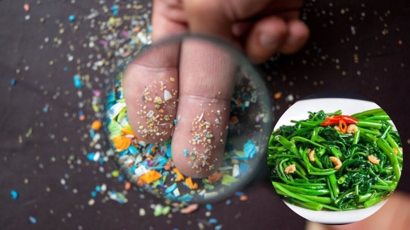 Vi nhựa len lỏi vào nhiều loại rau người Việt hay ăn bằng những cách không ngờ tới
