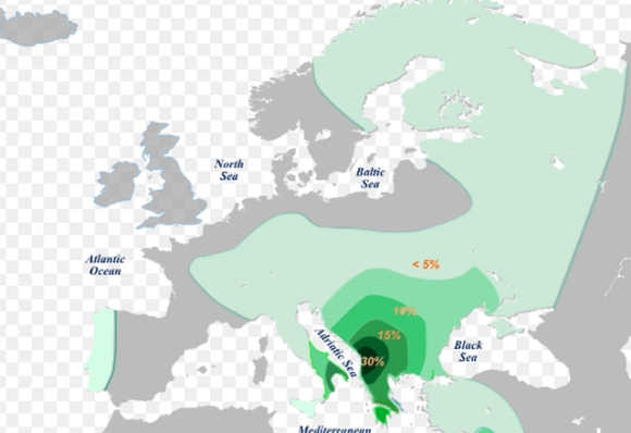 4 Bild Tin Tac Da Nam Giu Dna Cua Putin Va Tim Thay Diem Chung Voi Hitler