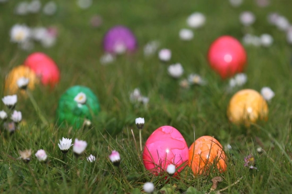 1 Tranh Cai Ve Viec Bai Bo Ngay Le   Phan Da Nguoi Dan Duc Phan Doi