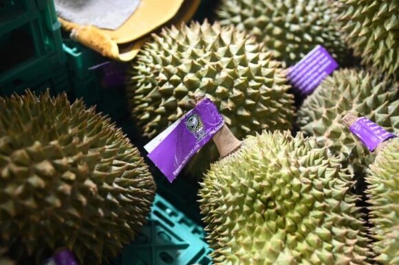 1 Trung Quoc Tang Thoi Gian Kiem Tra Sau Rieng Thai Lan Do So Bi Nhiem Thuoc