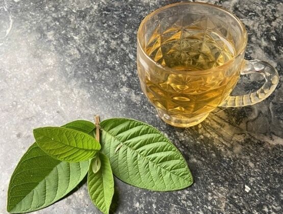 6 lợi ích tuyệt vời của nước lá ổi