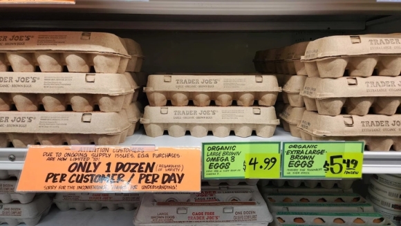 1 Chien Dich Truy Quet Nguoi Nhap Cu Gay Gat Cua Ong Trump Can Tro No Luc Ngan Dich Cum Gia Cam