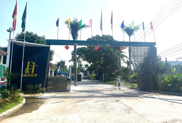 2 Yen Sao Loinest Duoc Quang Linh Vlogs Va Hang Du Muc Quang Cao Ram Ro Tren Tiktok San Xuat O Dau