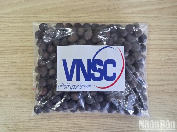 4 Amanda Nguyen Nguoi Phu Nu Goc Viet Dau Tien Bay Vao Khong Gian