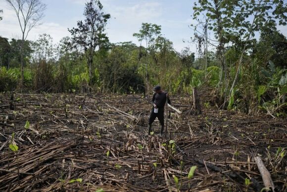 7 Mo Vang Nhap Cu Hoang Vang Vi Ong Trump Khoa Chat Bien Gioi