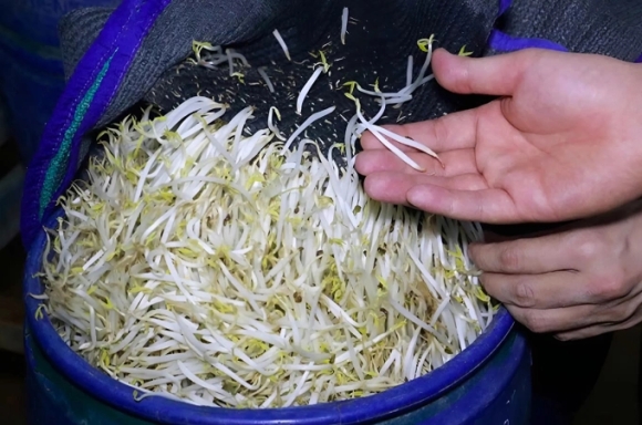 1 Loi Khai Cua Nhom San Xuat Hang Nghin Tan Gia Do Ngam Chat Cam