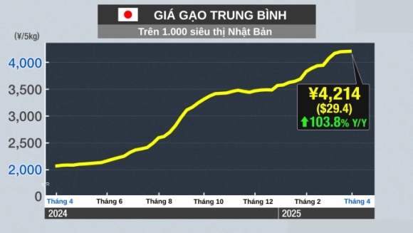 2 Viet Kieu Chat Vat Doi Pho Bao Gia Tai Nhat