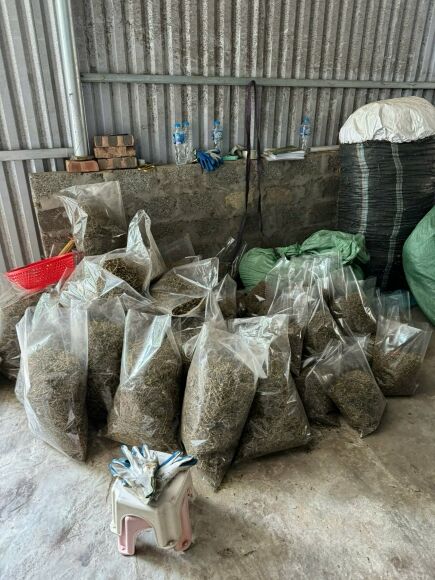 3 Bat Giu Ong Trum Va 8 Doi Tuong Ban Thuoc Ho Tro Sinh Ly Gia Thu Loi 20 Ty