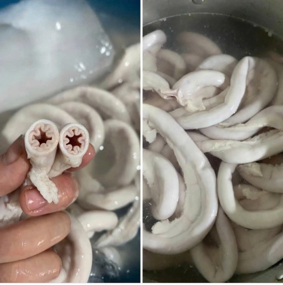 1 Long Se Dieu Cho Khong Co Tren Mang Ban Day Gia Re Het Hon