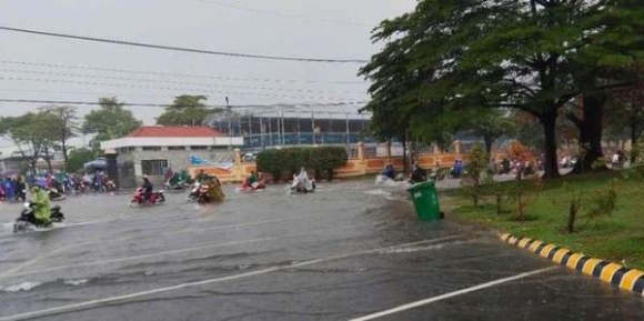 2 Hinh Anh Ngap Ket Kinh Hoang O Binh Duong Dong Nai Sang 10 5