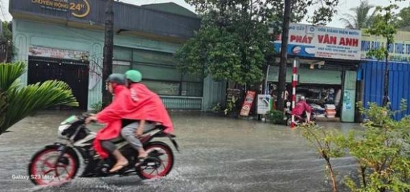 5 Hinh Anh Ngap Ket Kinh Hoang O Binh Duong Dong Nai Sang 10 5