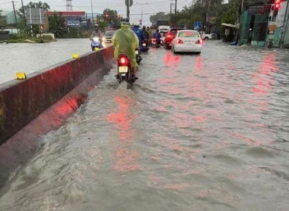 8 Hinh Anh Ngap Ket Kinh Hoang O Binh Duong Dong Nai Sang 10 5