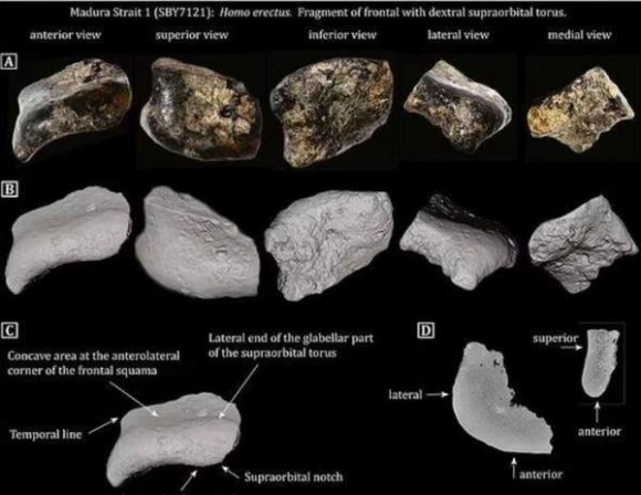 2 Kham Pha Kinh Ngac Thanh Pho 140000 Nam Tuoi An Duoi Day Dai Duong