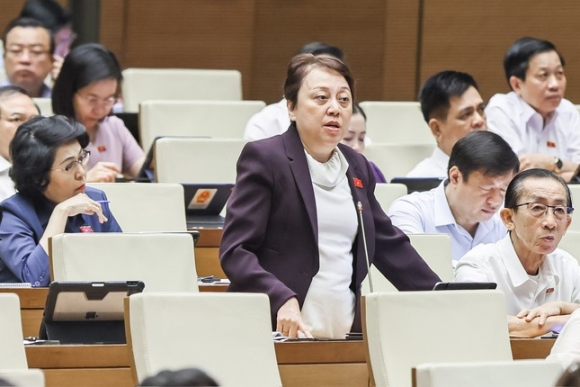 2 Vien Dan Vu An Truong My Lan Dai Bieu De Nghi Khong Bo Tu Hinh Toi Tham O Tai San