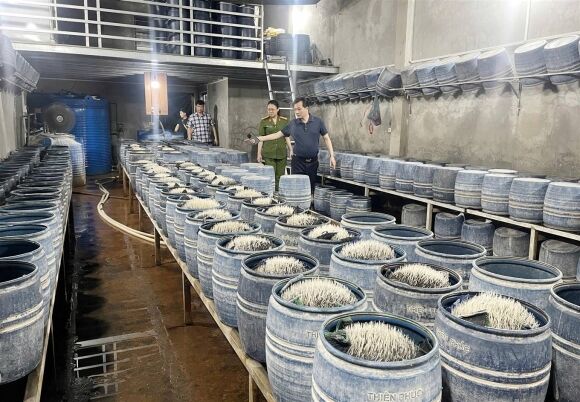 1 Lao Cai 348 Tan Gia Do Ngam Hoa Chat Doc Hai Da Ban Ra Thi Truong