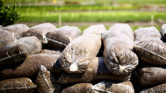 1 Eu Ap Thue Quan Bo Sung Len Hang Hoa Nga Va Belarus De Gay Kho Khan Tai Chinh Cho Chien Tranh