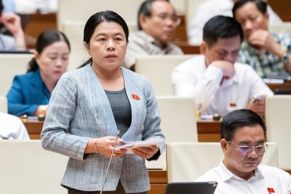 2 Dai Bieu Quoc Hoi Hang Gia Ngay Cang Tinh Vi Co Su Moc Ngoac Cua Can Bo Cong Quyen