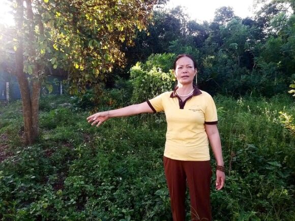 1 300 M2 Dat Gia Ban 3 Ti Nhung Phai Dong Thue Gan 45 Ti Dong