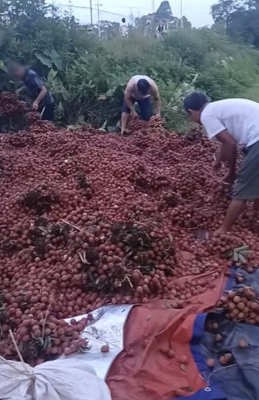 2 Vu Xe Vai Lat Bi Nguoi Dan Hoi Cua Chu Xe Noi Cac Bac Oi Day La Vai Cua Chau Nhung Khong Ai Quan Tam