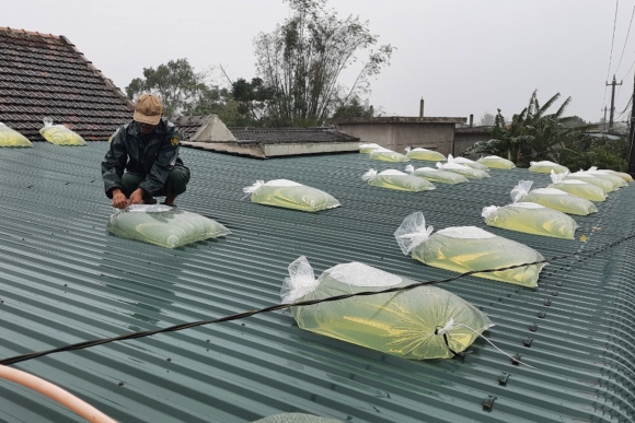 2 Ha Noi Nam Trong Vung Trong Tam Mua Lon Do Bao Wipha 11 Dieu Can Lam Ngay