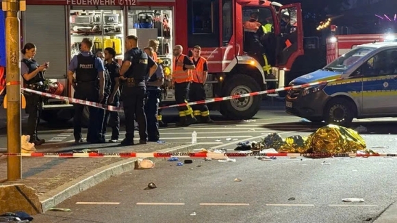 2 Hai Anh Em Song Sinh Nguoi Viet Qua Doi Trong Vu Tai Nan Giao Thong Tai Duc