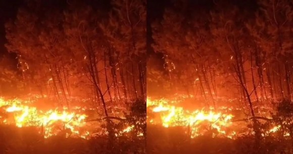 1 Phap Doc Toan Luc Khong Che Dam Chay Rung Nghiem Trong Nhat Trong Gan 80 Nam