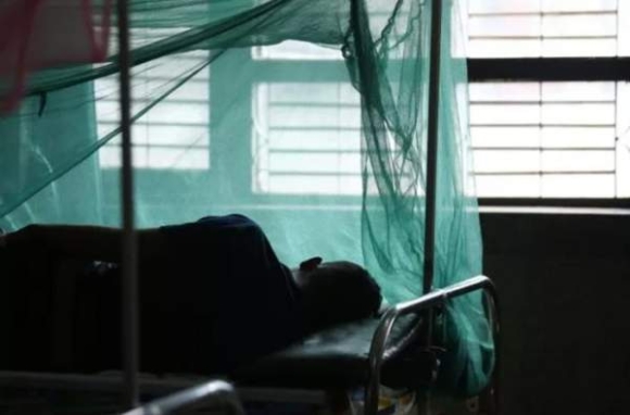 3 Nhung Dieu Can Biet Ve Virus Chikungunya Giua Luc Dich Lan Rong Tai Trung Quoc