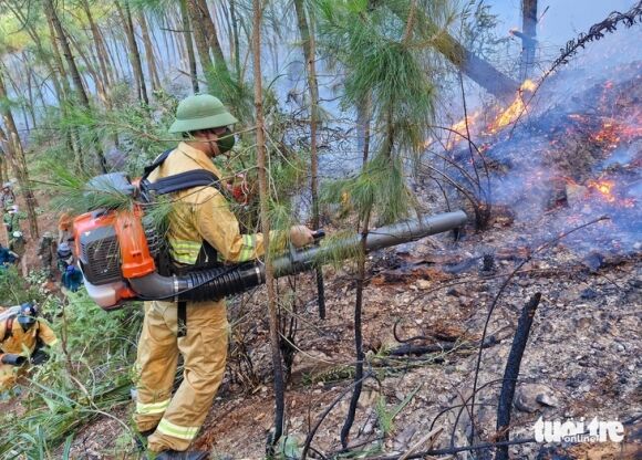1 Hang Tram Nguoi Dang Chua Chay Rung O Nghe An Do Set Danh