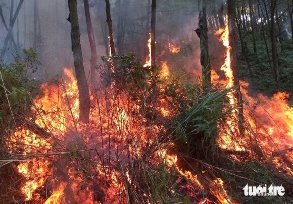 2 Hang Tram Nguoi Dang Chua Chay Rung O Nghe An Do Set Danh