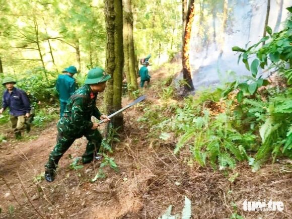 3 Hang Tram Nguoi Dang Chua Chay Rung O Nghe An Do Set Danh