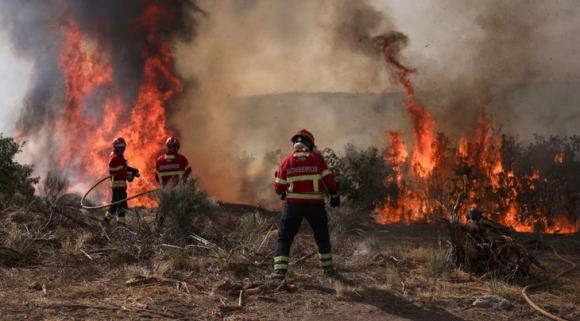1 Mua Chay Rung Khoc Liet Nhat Lich Su O Chau Au Nhiet Do Gan 40 Do