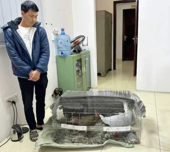 2 La Lung 2 Vu An Ve Ga Loi Trang Deu Do Tai Khoan Facebook Quoc Huy Dat Mua Ga