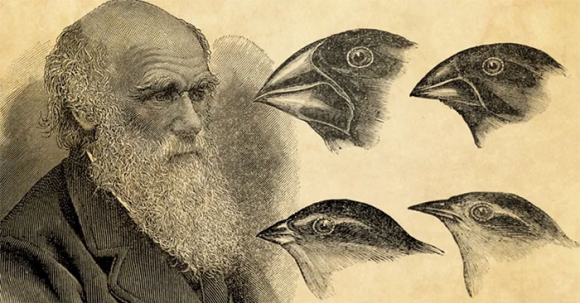 1 Nhung Bang Chung Khoa Hoc Day Len Nghi Ngo Ve Thuyet Tien Hoa