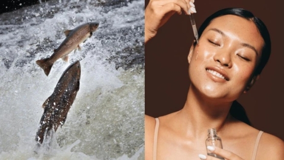 1 Su That Ve Lam Dep Da Bang Tinh Trung Ca Hoi