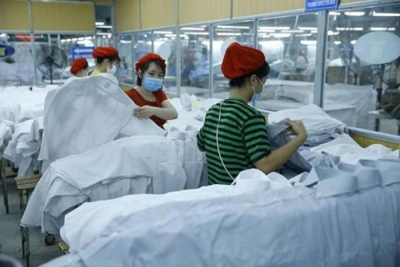 1 Xuat Khau Vao Eu Doanh Nghiep Viet Can Chu Dong Thich Ung Voi Luat Choi Moi