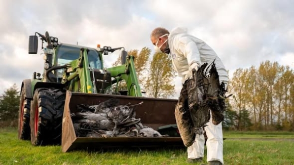 1 Chinh Phu Duc Xem Xet Tang Gap Doi Muc Boi Thuong Cho Gia Cam Bi Tieu Huy Do Cum