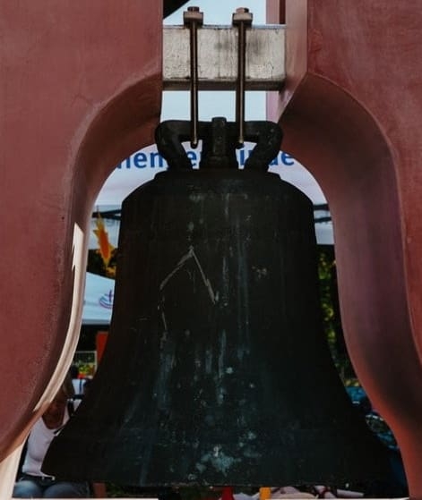 2 Qua Chuong 300kg Bi An Tro Ve Sau Khi Bi Ban Cho Bai Phe Lieu O Duc