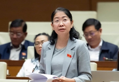 Vì sao nhận thức ngô nghê vẫn là ....Đại biểu quốc hội?