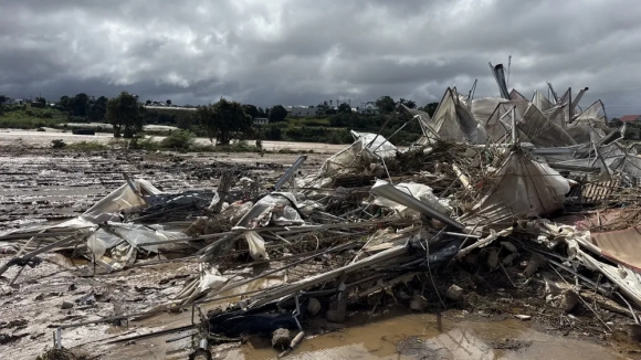 2 Nguoi Dan Thu Phu Rau Hoa O Lam Dong Trang Tay Sau Con Lu Lich Su