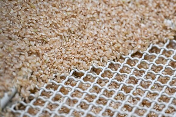 1 Cap Doi Vo Viet Chong Nhat Bi Cao Buoc Nhap Lau Hang Tram Tan Gao Kiem Loi