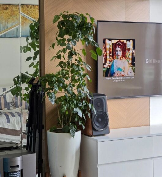 2 Cach Bo Tri Cay Xanh Loc Khong Khi Giam O Nhiem Bui Trong Nha