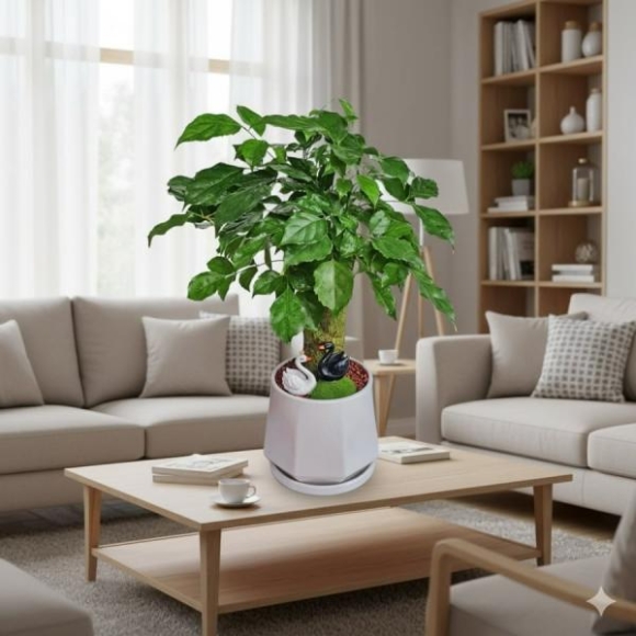 Bí quyết trồng cây Hạnh phúc: Bí mật giúp nhà ấm cúng, hút năng lượng may mắn mỗi ngày