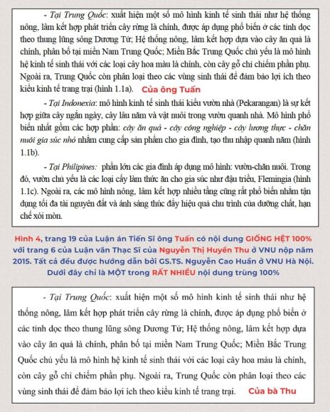 5 Liem Chinh Khoa Hoc Phat Hien Nong Mot So Van De Lien Quan Den Luan An Tien Si Cua Ong Tran Anh Tuan Giam Doc So Khcn Ha Noi