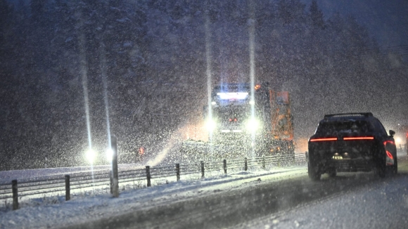 2 Chau Au Chim Trong Hon Loan Vi Tuyet Roi Day Va Gia Ret Ky Luc