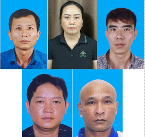 3 Vu Hon 130 Tan Thit Lon Nhiem Dich Tai Hai Phong Tieu Huy Hon 2 Tan Pa Te