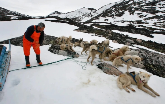 1 Dac Phai Vien Cua Trump Bi Huy Moi Du Cuoc Dua Xe Cho Keo O Greenland